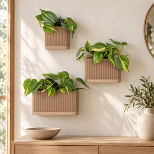 Fioriera da parete in legno con sistema di drenaggio e raccoglitore d'acqua magnetico.