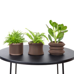 Set mit 3 Übertöpfen / Blumentöpfen aus dunklem Holz – Pflanze und Kaktus – originelle Geschenkidee