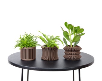 Set van 3 Cachepots / Bloempot bedrukt in donker hout - Plant en cactus - Origineel cadeau-idee