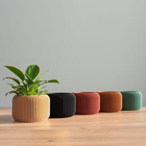 Peut inclure: Cinq pots de fleurs cylindriques et côtelés de couleurs variées : beige, noir, rouge, orange et vert. Un pot contient une petite plante verte. Les pots sont disposés sur une surface en bois, sur fond gris neutre.