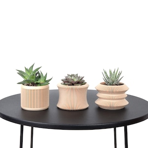 Set mit 3 Blumentöpfen / Bedruckter Blumentopf aus hellem Holz - Pflanze und Kaktus - Originelle Geschenkidee