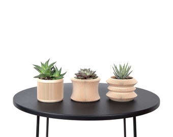 Set van 3 plantenpotten / bedrukte bloempot in licht hout - plant en cactus - origineel cadeau-idee