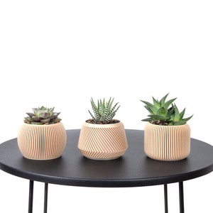 Set mit 3 Blumentöpfen / Bedruckter Blumentopf aus hellem Holz - Pflanze und Kaktus - Originelle Geschenkidee