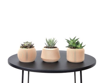 Set of 3 Planters / Flowerpots design and original - Light wood print - Plant and cactus - Original gift idea
