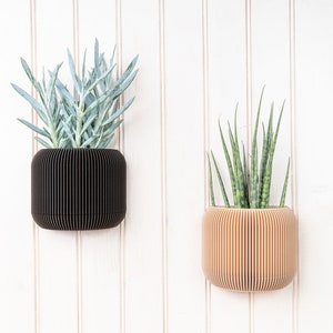 Ebony wood wall planter Japan Minimalist and modern wall mounted flower pot Plant and cactus Original gift idea image 2