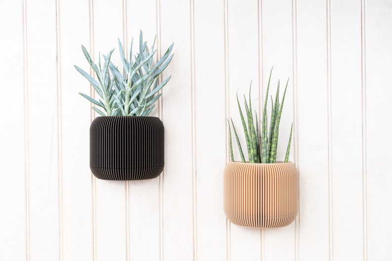 Ebony wood wall planter Japan Minimalist and modern wall mounted flower pot Plant and cactus Original gift idea image 2