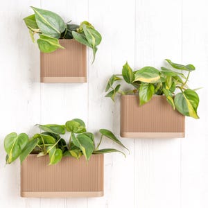 Houten wandplantenbak met drainage en reservoir - Minimalistische en moderne wandbloempot - Plant en cactus - Origineel cadeau-idee