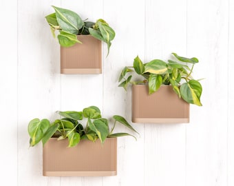 Wooden wall planter with drainage and reservoir - Minimalist and modern wall planter - Plant and cactus - Original gift idea