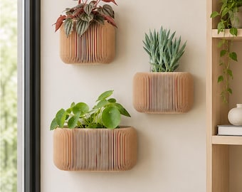 Könnte beinhalten: Drei wandmontierte Pflanzgefäße mit heller Holzoptik und vertikalem Lamellendesign. Jeder Übertopf enthält eine andere Grünpflanze, darunter eine Peperomie mit gemusterten Blättern, eine stachelige Sukkulente und eine Pilea.