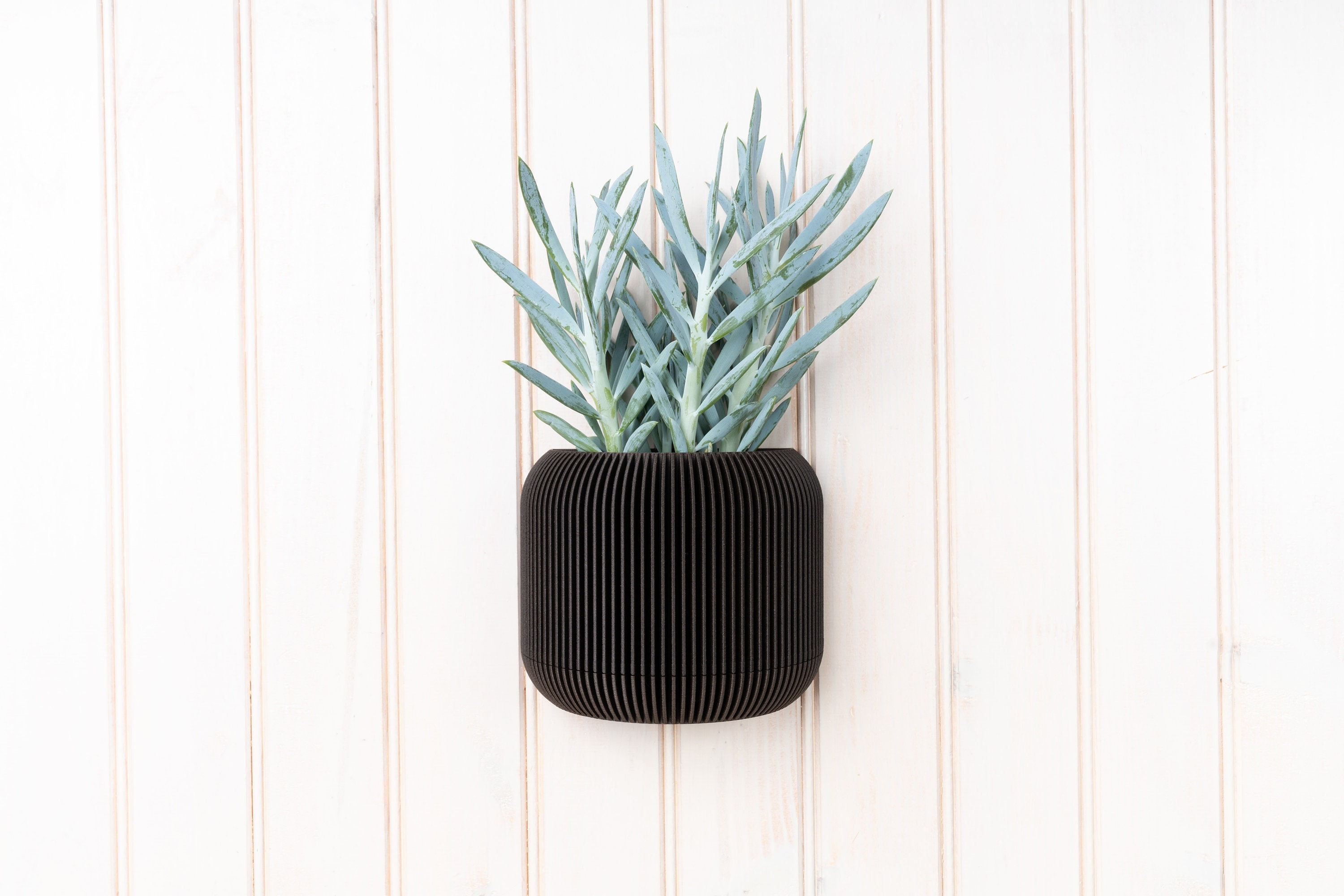 Ebony wood wall planter - Japan - Minimalist and modern wall mounted flower pot - Plant and cactus - Original gift idea
