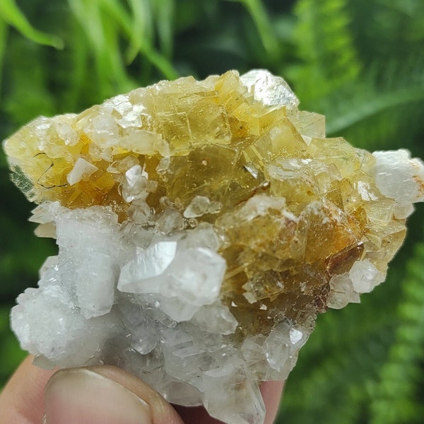 Unique Yellow Fluorite,Calcite and Barite from Spain.Home decor stone/Souvenir stone/Natural Minerals/Spain