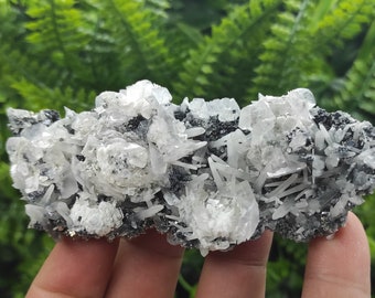 Quartz Calcite Cluster on Siderite, Galena, Pyrite Mineral Specimen