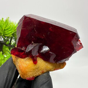 Peut inclure: Une formation cristalline rouge foncé vibrante avec une structure cristalline. Le cristal repose sur une base texturée brun clair. L'image est prise sur fond blanc, avec un peu de feuillage vert en haut à gauche.