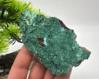 Moroccan Green Malachite on Matrix: Mineral Specimen, Crystal Collection