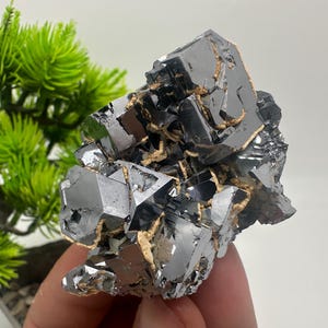Collecting,Mirror Galena cubes whit Sphalerite,From Krushev dol mine,Madan,Bulgaria,Galena,Sphalerite,Mineral specimen,collection crystal