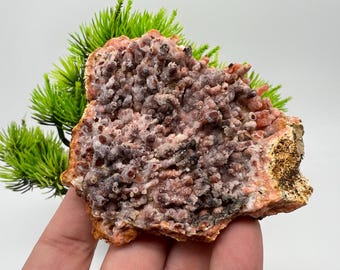 Rare Red Chalcedony Specimen: Morocco Minerals, Crystal Healing