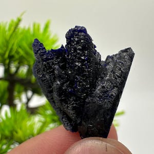 Crystallized Azurite-Kerrouchen,Morocco-Blue Azurite Specimen-High Quality Blue Azurite-Azurite Mineral Specimen, gemmy,lustrous of Azurite