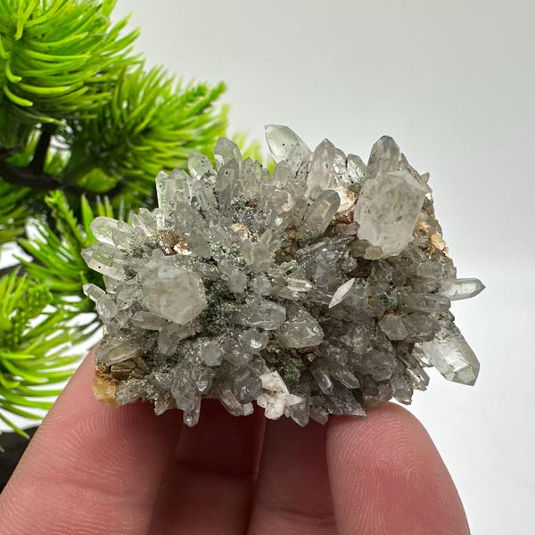 Pyrite Chalcopyrite on Quartz with Chlorite, Djurcovo Bulgaria Mineral Specimen