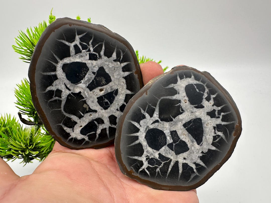 Dragonstones Pair, Septarian Nodule Geode, Septaria, Dragonstone ...