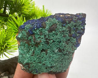 Moroccan Malachite with Blue Azurite Mineral Specimen