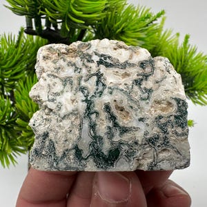 Polished Moss Agate Slab: Green & White Stone Slice