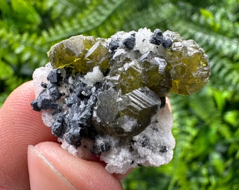 May include: A cluster of green and black crystals on a white matrix. The crystals are sharp and have a glassy luster.