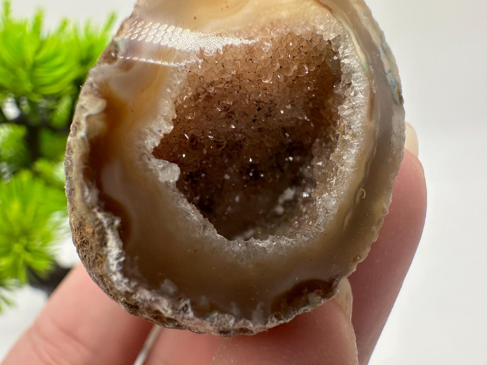 Natural Agate Geode – Crystal Cave Formation | Collector Mineral ...