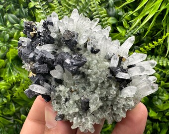 May include: A cluster of clear quartz crystals with black galena crystals and a green matrix. The crystals are sharp and well-defined.