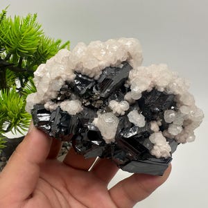 INCREDIBLE,Large Sphalerite,Pyrite,Chalcopyrite,Calcite from Trepca,Kosovo,Trepca Stari Trg Mine,Trepca complex,Trepca valley,Mitrovica