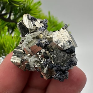 Può includere: Un gruppo di cristalli di pirite di colore argento metallico e con un leggero bagliore iridescente. I cristalli sono intercresciuti con un minerale grigio scuro, probabilmente calcopirite.