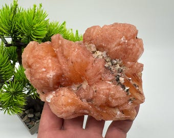 青い玉髄アポフィライト標本、インド産クリスタルコレクション - Etsy 日本