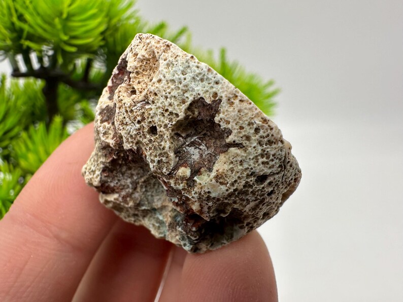 Natural Agate Geode – Crystal Cave Formation | Collector Mineral ...
