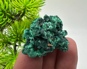 繊維状の緑色孔雀石結晶、コンゴ産鉱物標本 - Etsy 日本