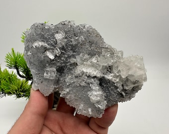 May include: A close-up of a mineral specimen featuring a cluster of clear, crystalline structures atop a dark gray, speckled base. The crystals are translucent and reflect light, creating a sparkling effect. The mineral is held in a hand.