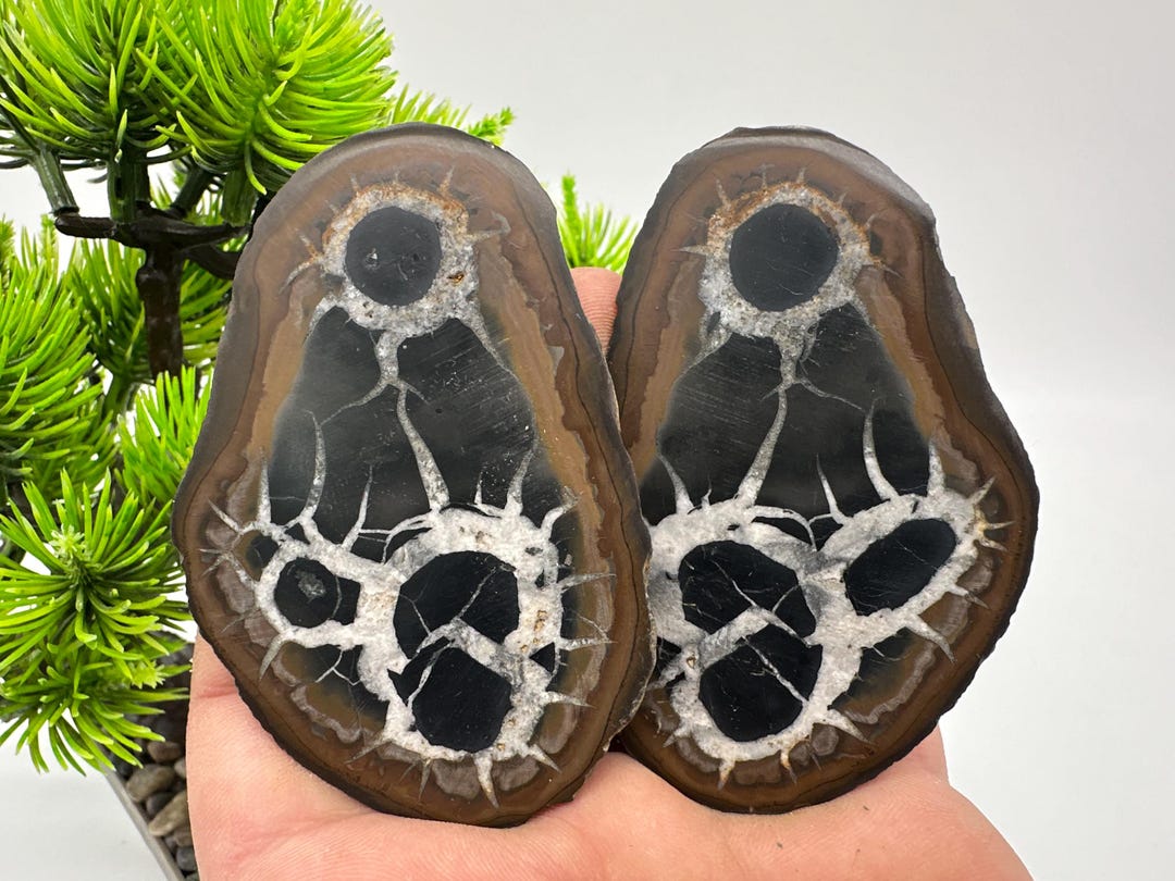 Dragonstones Pair, Septarian Nodule Geode, Septaria, Dragonstone ...