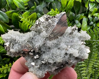 Goldener Pyrit & Quartz Crystal: Natürliches Mineral Wohnkultur