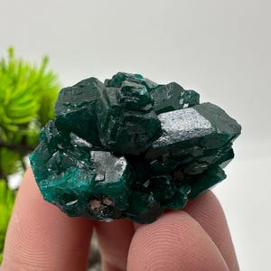 Grüner Dioptas Kristall, Sanda Hills Kongo Mineral