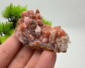 May include: A raw mineral specimen featuring clusters of rounded, salmon-pink botryoidal formations. The surface displays a textured, bubbly appearance with subtle translucent crystalline edges and small dark inclusions embedded within the structure.