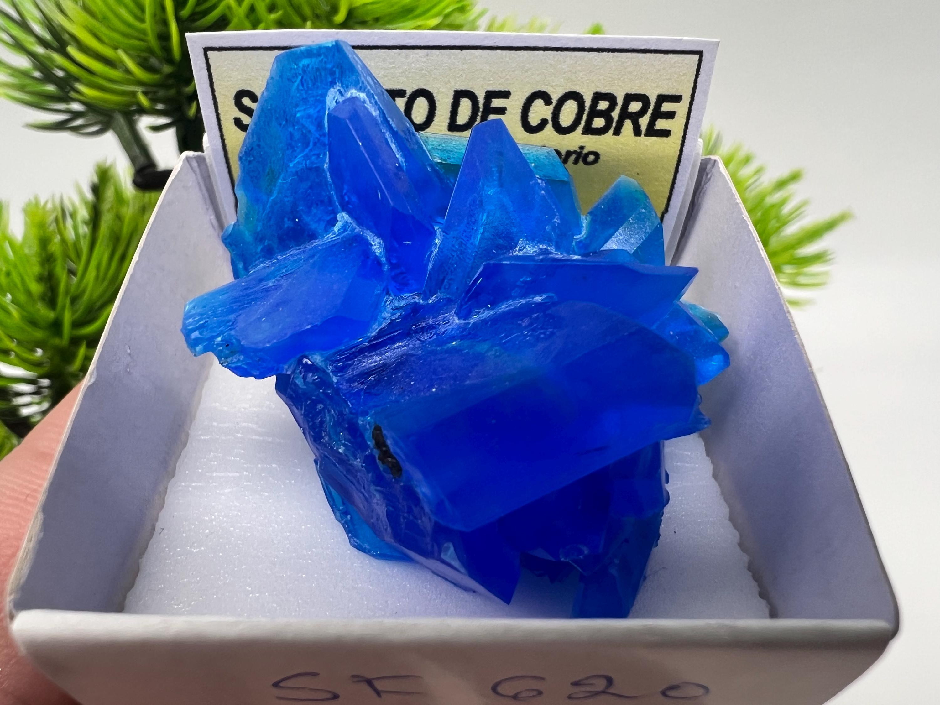 母岩上のブルーカルカンサイト結晶、鉱物標本、ラボ育成 - Etsy 日本