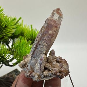 Puede incluir: Un grupo de cristales de cuarzo transparentes con inclusiones de color marrón rojizo. Los cristales están dispuestos en un grupo, con el cristal más grande apuntando hacia arriba. Los cristales están sobre un fondo blanco.