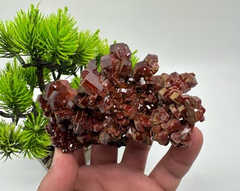 May include: A cluster of red vanadinite crystals with a sharp, geometric shape. The crystals are arranged in a cluster, with some crystals pointing upwards and others pointing downwards. The crystals are a deep red color, with a slight sheen.