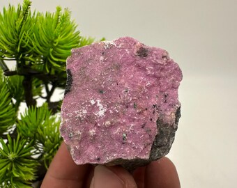 Sparkling Pink Cobalto Calcite Specimen from Congo
