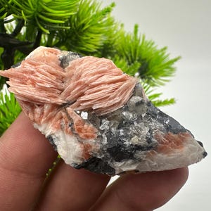 Wunderbarer Baryt mit Cerussit auf Galena aus Marokko, Bleikristall, Bleikristall,Cerussit Kristall,Kristalle, Bleikristall,