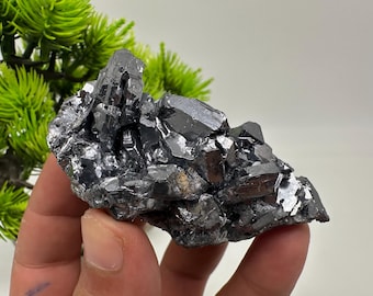 May include: A cluster of dark gray, metallic galena crystals. The crystals have a reflective, faceted appearance, with sharp edges and a slightly rough texture. The mineral specimen is held against a backdrop of green foliage.
