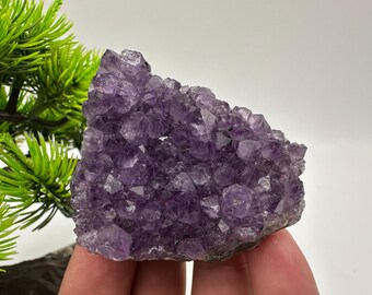 Natural Purple Amethyst Cluster from Uruguay: Home Decor, Energy Crystal