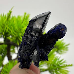 Crystallized Azurite-Kerrouchen,Morocco-Blue Azurite Specimen-High Quality Blue Azurite-Azurite Mineral Specimen, gemmy,lustrous of Azurite