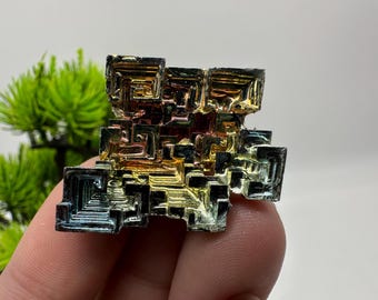 May include: A colorful bismuth crystal with a geometric, stepped structure. The crystal displays a metallic sheen with iridescent hues of gold, blue, purple, and red. The crystal is held in a hand, with a blurred green plant in the background.
