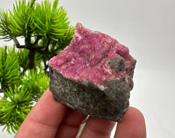 Sparkling Pink Cobalto Calcite Specimen, Congo Mineral