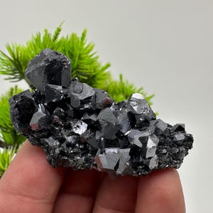Galena on Sphalerite Specimen: Madan Bulgaria Mineral Collection