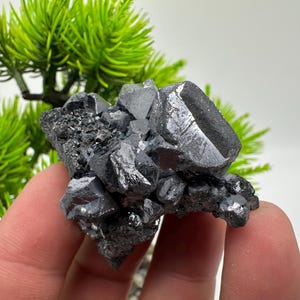 Stunning Galena Spinel Law on Sphalerite,From Borieva mine,Madan,Bulgaria,collection mineral specimen,rare crystal,Galena,Spinel law Galena